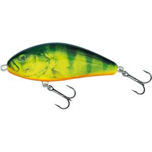 qfa062-lure-salmo-f10f-arkansas-10-cm